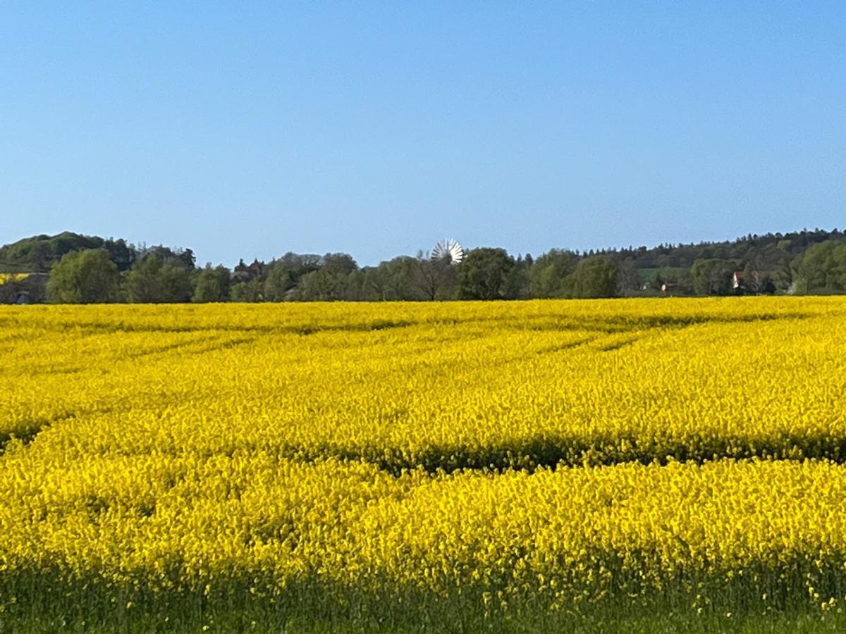 Reetdachtraum Leilighet Middelhagen Eksteriør bilde